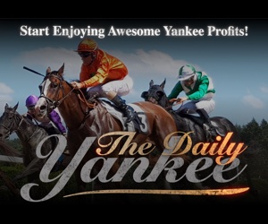 The Daily Yankee