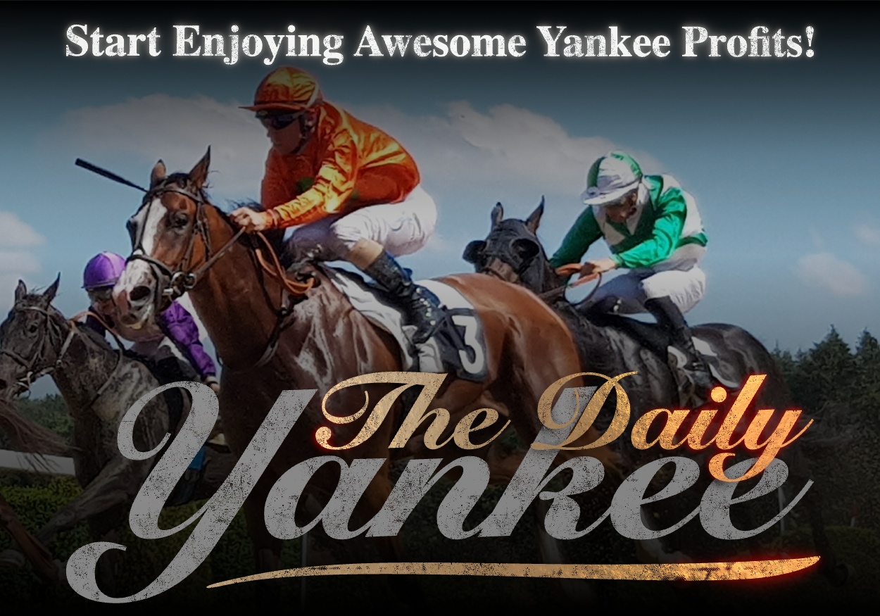The Daily Yankee